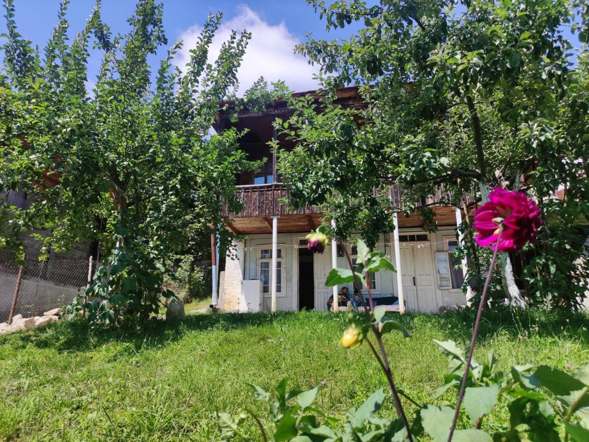 Racha Chogovadze'S Guest House Амбролаури Экстерьер фото